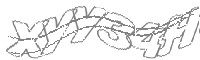 Check code