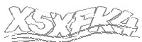 Check code